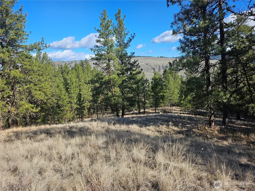 380 Lot Chopaka TBD Road Tonasket, WA 98855