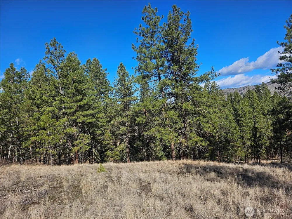 380 Lot Chopaka TBD Road Tonasket, WA 98855
