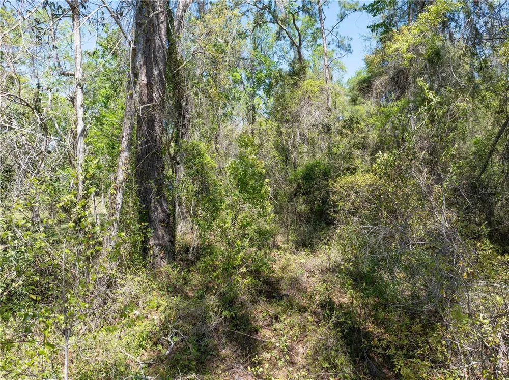 9311 86TH STREET Live Oak, FL 32060