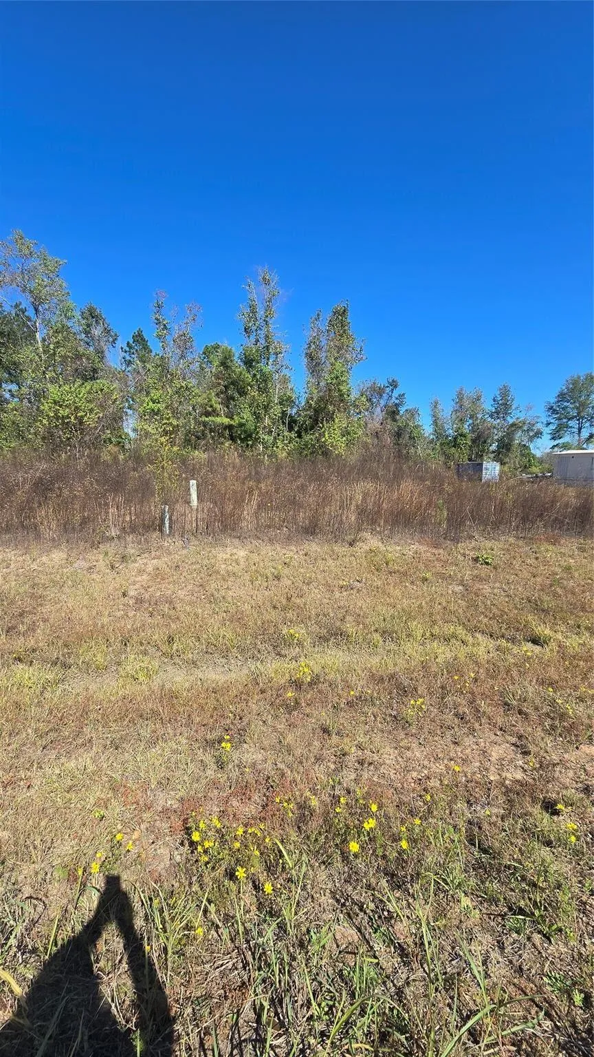 1167 Road 5894 Cleveland, TX 77327