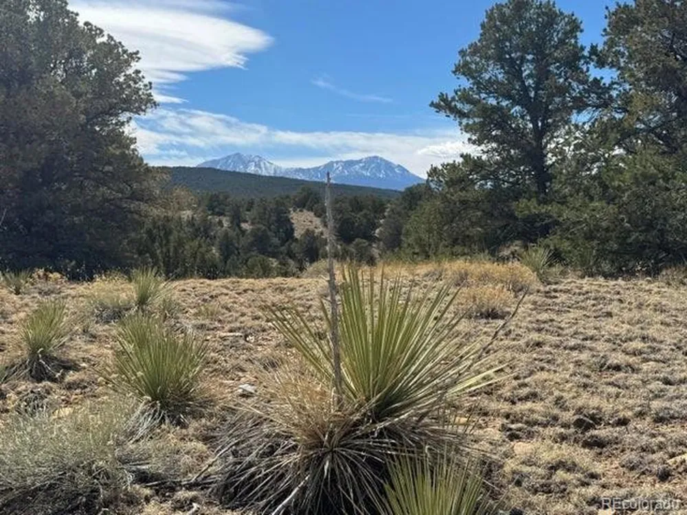 29 Orlando's Way Walsenburg, CO 81089