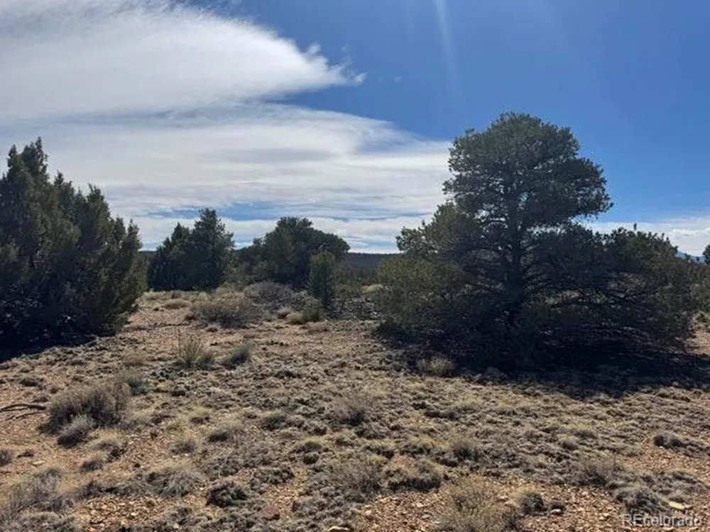 29 Orlando's Way Walsenburg, CO 81089