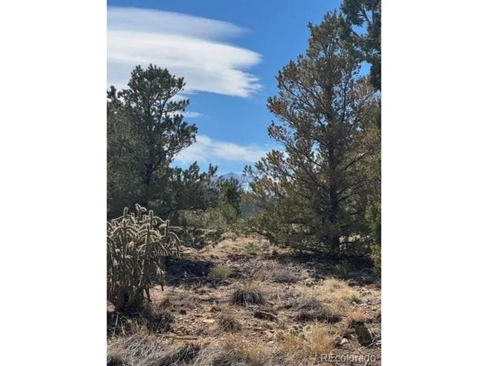 29 Orlando's Way Walsenburg, CO 81089