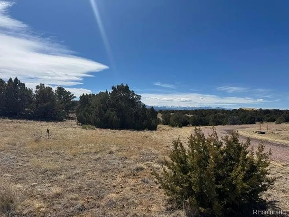 29 Orlando's Way Walsenburg, CO 81089