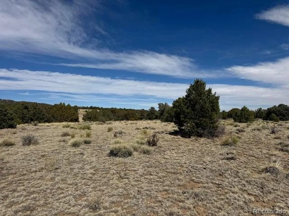 29 Orlando's Way Walsenburg, CO 81089
