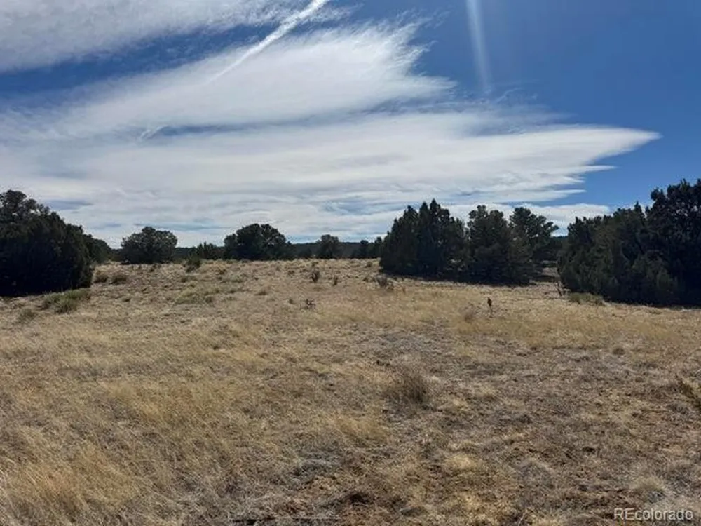 29 Orlando's Way Walsenburg, CO 81089