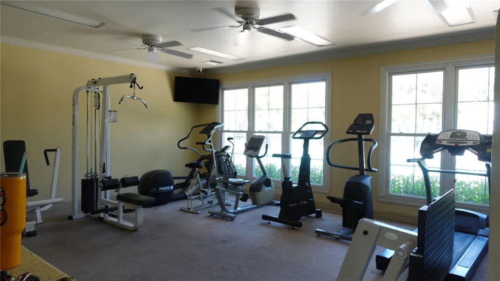18281 BRIDLE CLUB DRIVE Tampa, FL 33647