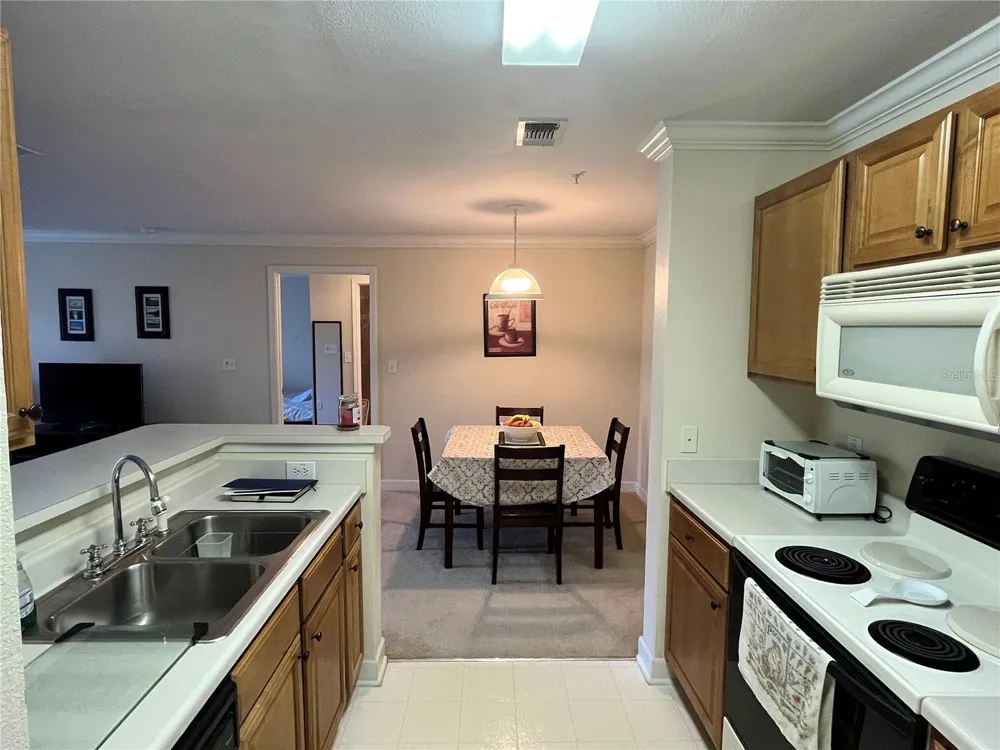 18281 BRIDLE CLUB DRIVE Tampa, FL 33647