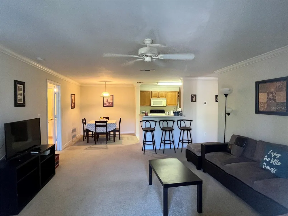 18281 BRIDLE CLUB DRIVE Tampa, FL 33647