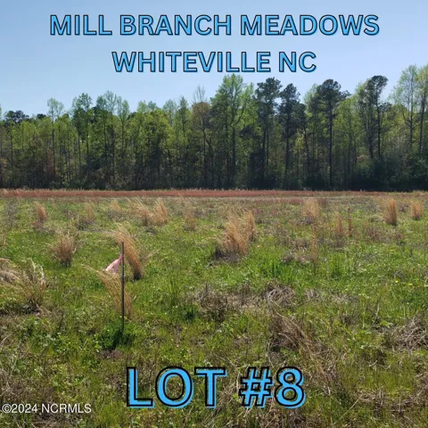 97 Mill Branch Drive