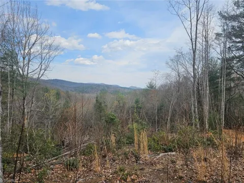 Lot 2 Widow Mountain Drive