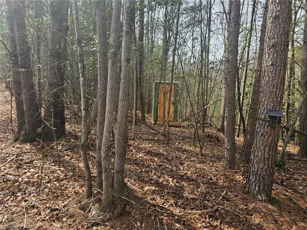 Lot 2 Widow Mountain Drive McGrady, NC 28635