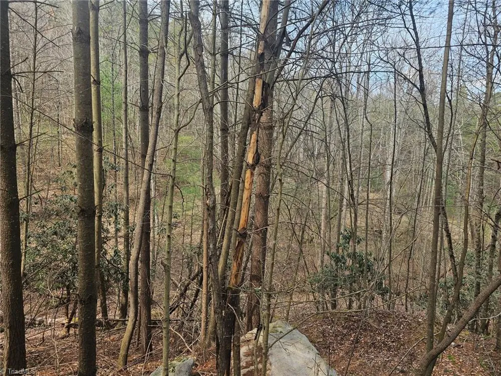 Lot 2 Widow Mountain Drive McGrady, NC 28635