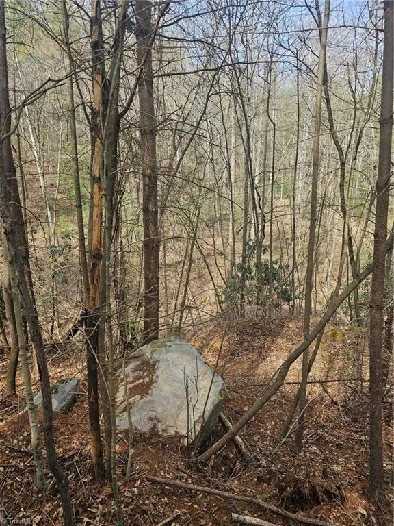 Lot 2 Widow Mountain Drive McGrady, NC 28635
