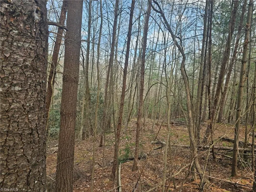Lot 2 Widow Mountain Drive McGrady, NC 28635