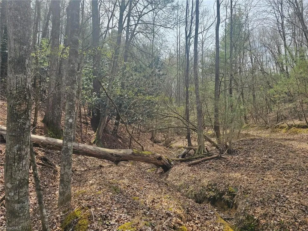 Lot 2 Widow Mountain Drive McGrady, NC 28635
