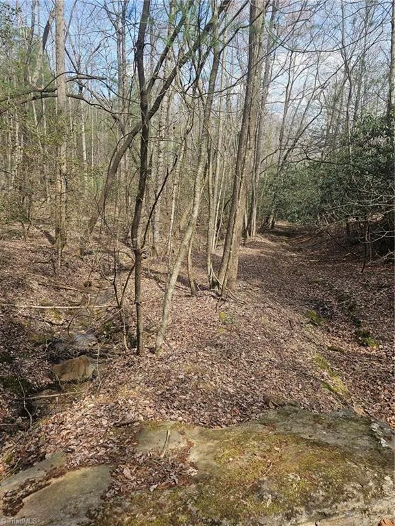 Lot 2 Widow Mountain Drive McGrady, NC 28635