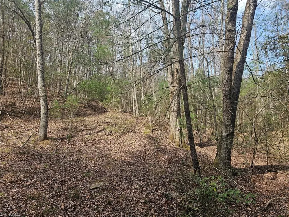 Lot 2 Widow Mountain Drive McGrady, NC 28635