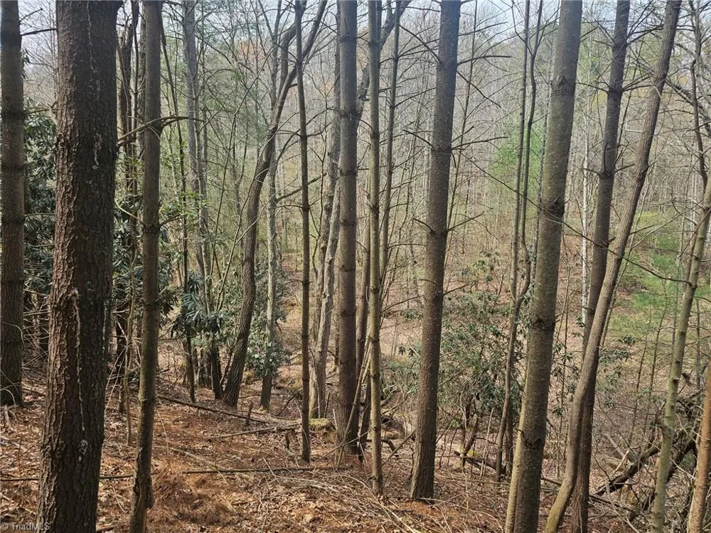 Lot 2 Widow Mountain Drive McGrady, NC 28635