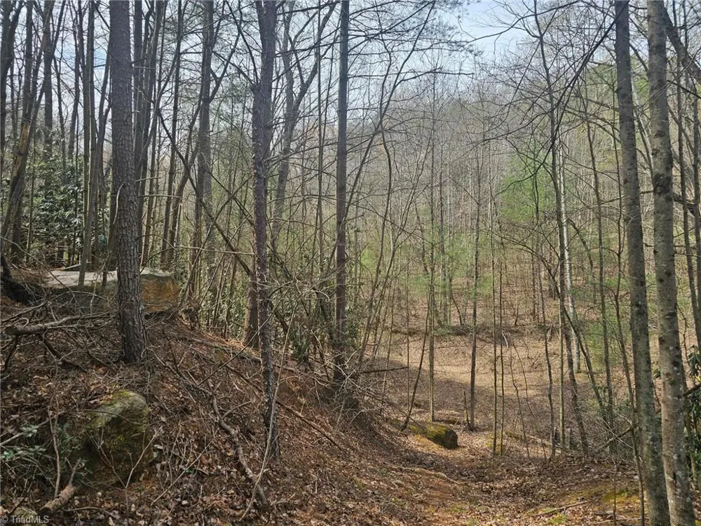 Lot 2 Widow Mountain Drive McGrady, NC 28635