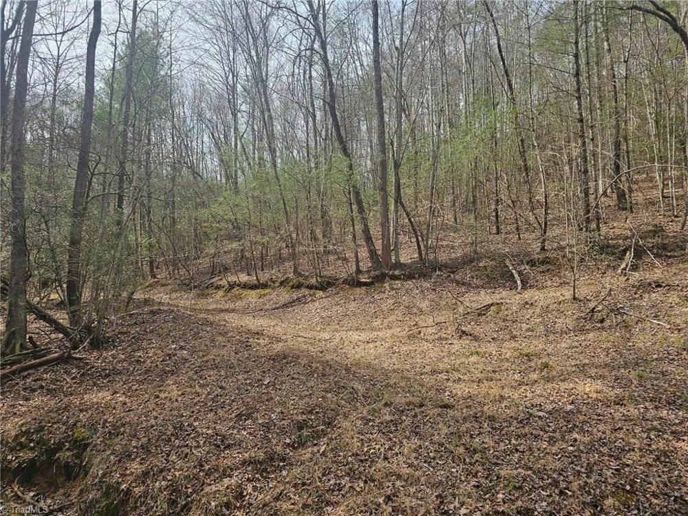 Lot 2 Widow Mountain Drive McGrady, NC 28635