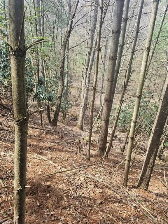 Lot 2 Widow Mountain Drive McGrady, NC 28635