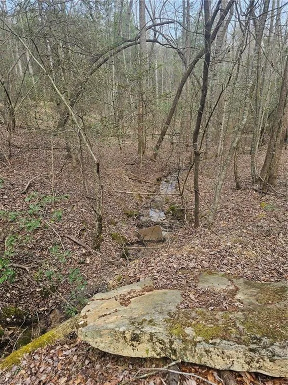 Lot 2 Widow Mountain Drive McGrady, NC 28635