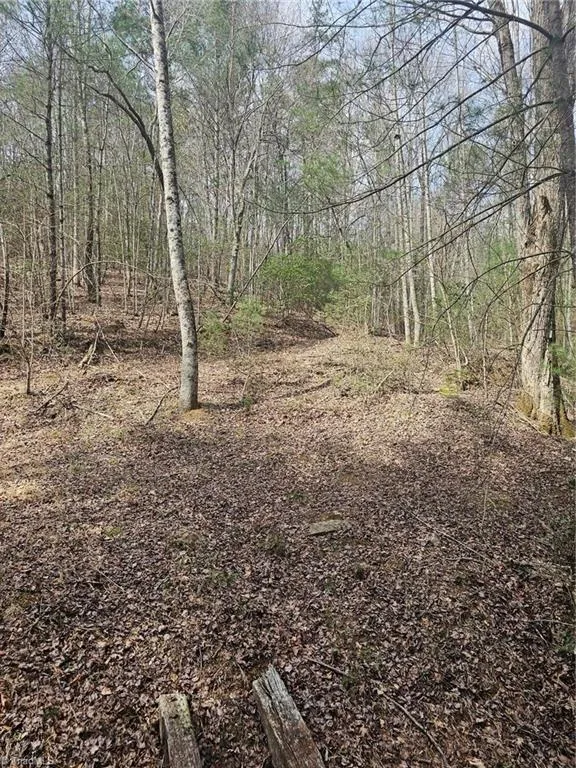 Lot 2 Widow Mountain Drive McGrady, NC 28635