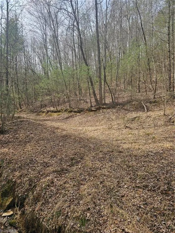 Lot 2 Widow Mountain Drive McGrady, NC 28635