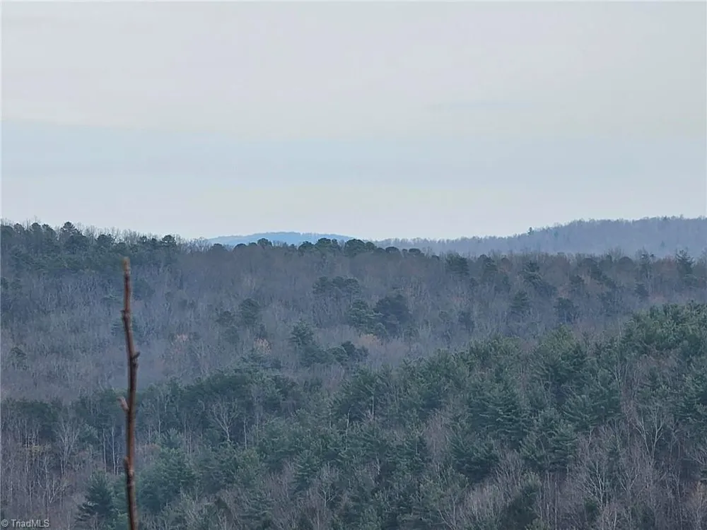 Lot 2 Widow Mountain Drive McGrady, NC 28635