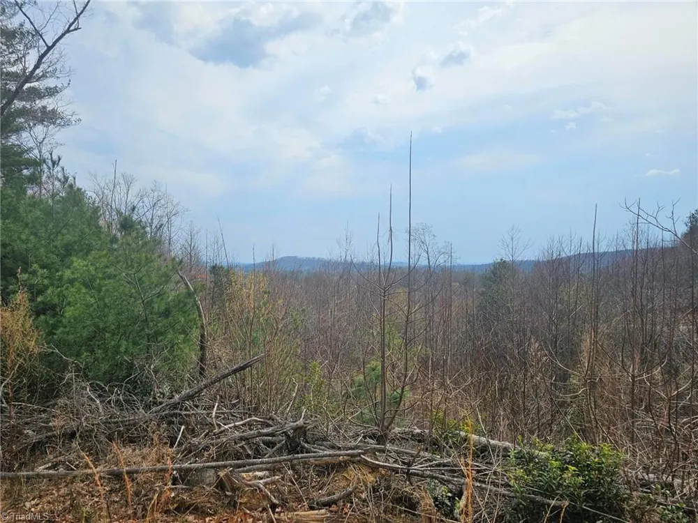 Lot 2 Widow Mountain Drive McGrady, NC 28635
