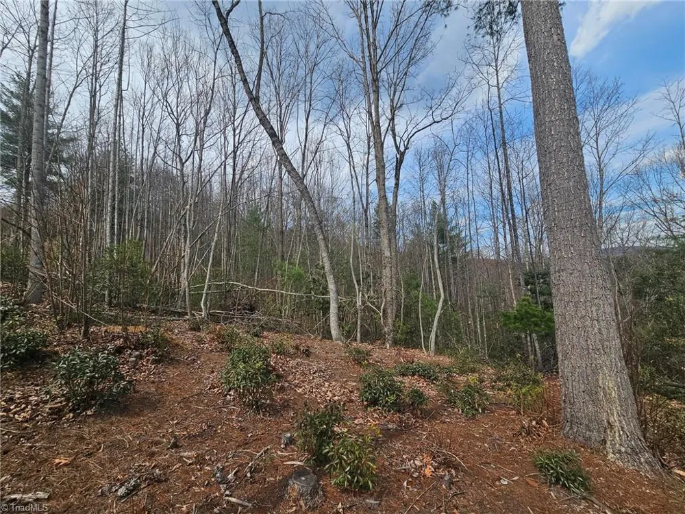 Lot 2 Widow Mountain Drive McGrady, NC 28635