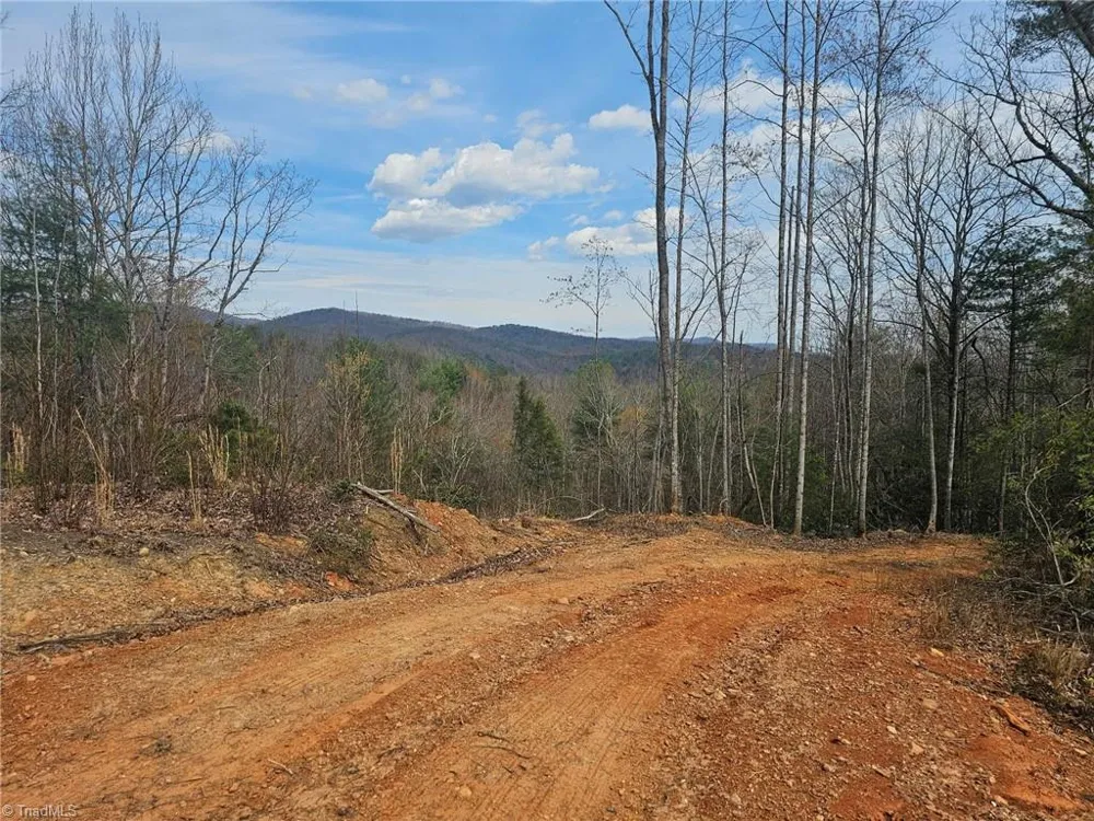Lot 2 Widow Mountain Drive McGrady, NC 28635