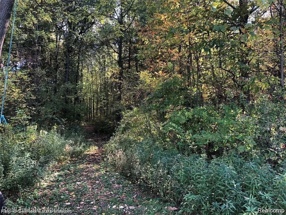 7627 Lapeer Road Wales Township, MI 48027
