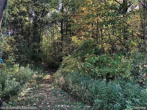 7627 Lapeer Road