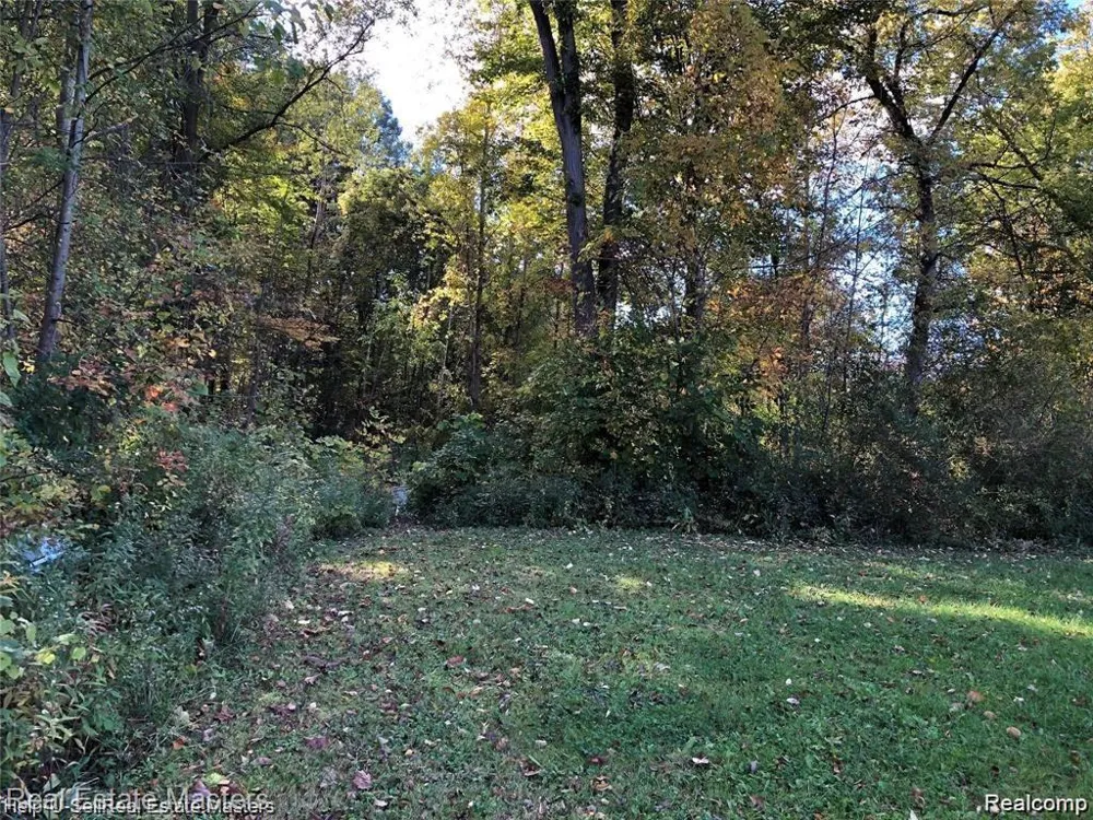 7627 Lapeer Road Wales Township, MI 48027