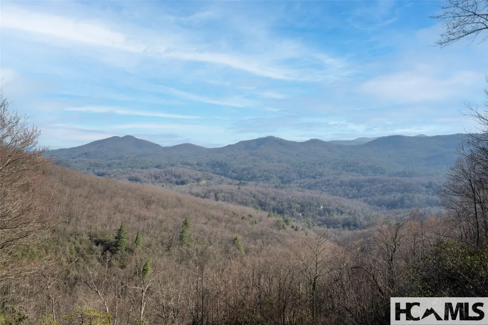 1624 Tower Road Sapphire, NC 28774