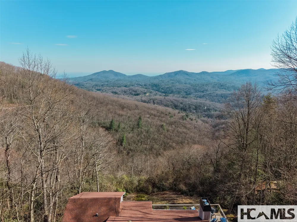 1624 Tower Road Sapphire, NC 28774