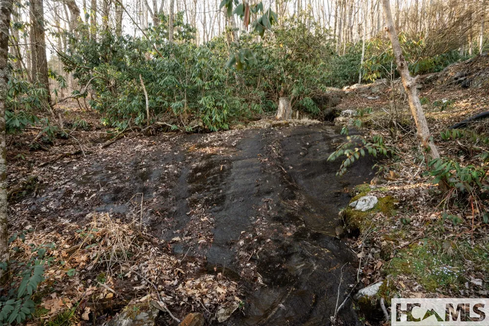 1624 Tower Road Sapphire, NC 28774