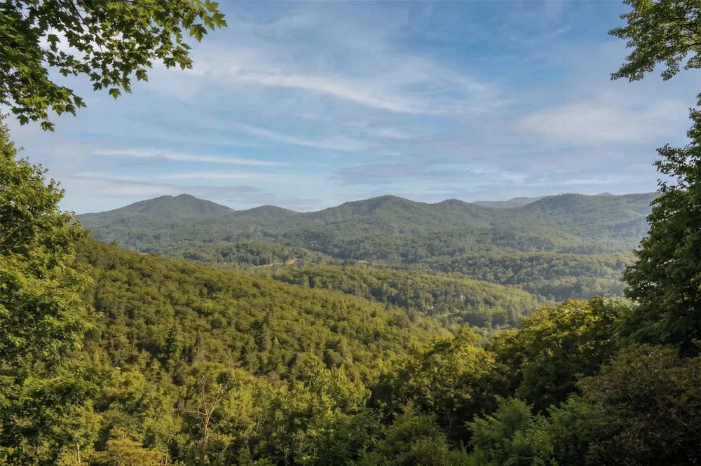 1624 Tower Road Sapphire, NC 28774