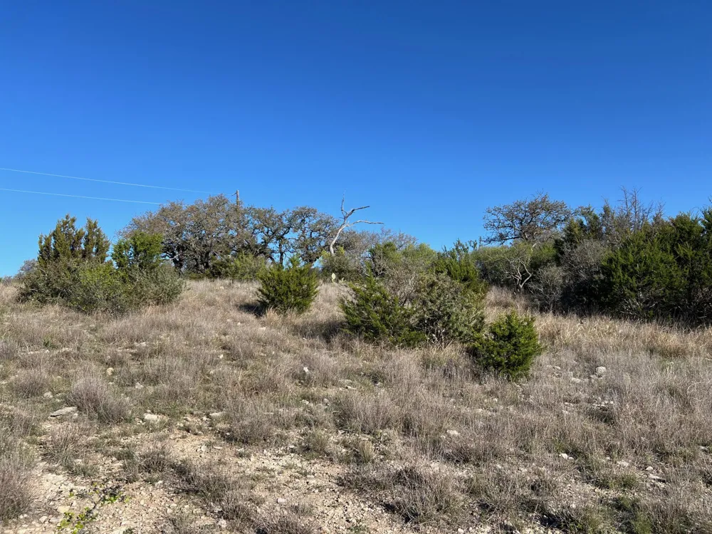 78 Bluff View Road Kempner, TX 76539
