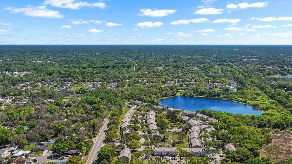 2411 LAKE WOODBERRY CIRCLE Brandon, FL 33510