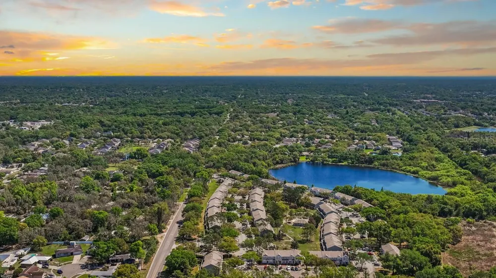 2411 LAKE WOODBERRY CIRCLE Brandon, FL 33510