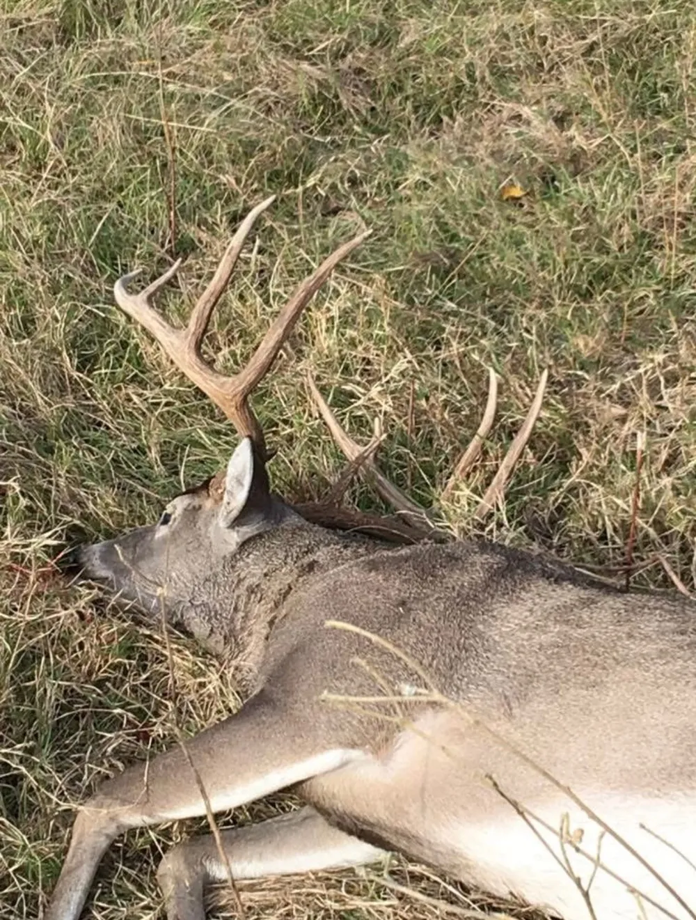 Co Rd 4031 Kemp, TX 75143