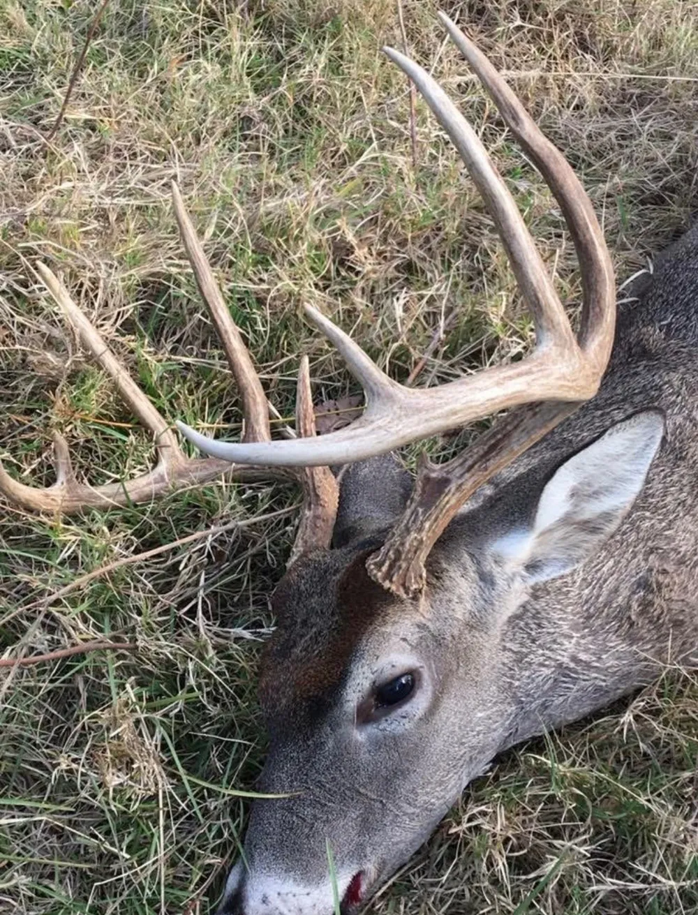 Co Rd 4031 Kemp, TX 75143