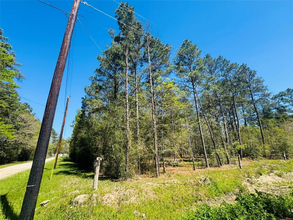Creekbend Drive Plantersville, TX 77363