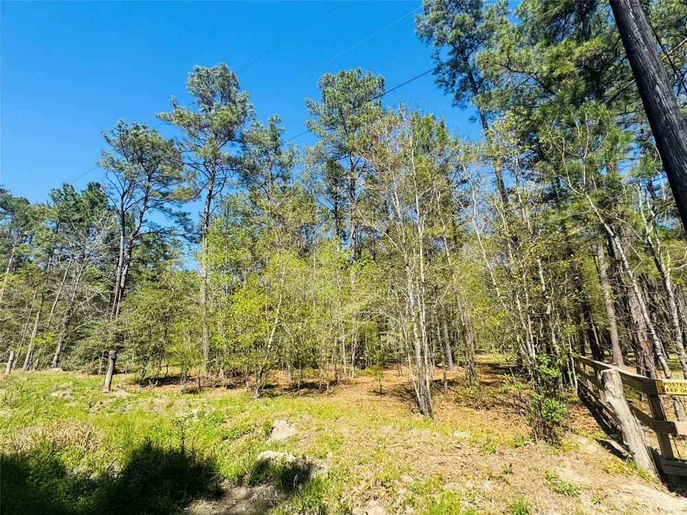 Creekbend Drive Plantersville, TX 77363