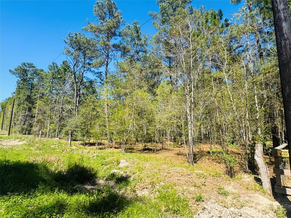 Creekbend Drive Plantersville, TX 77363