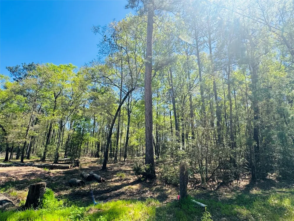 Creekbend Drive Plantersville, TX 77363