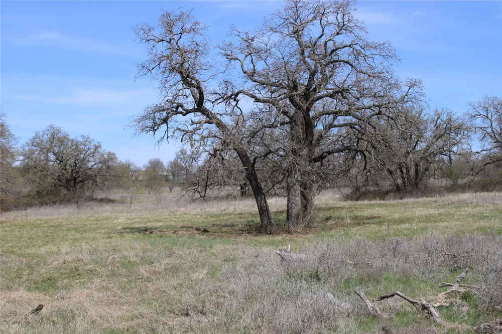 21 Erwin Perrin, TX 78486